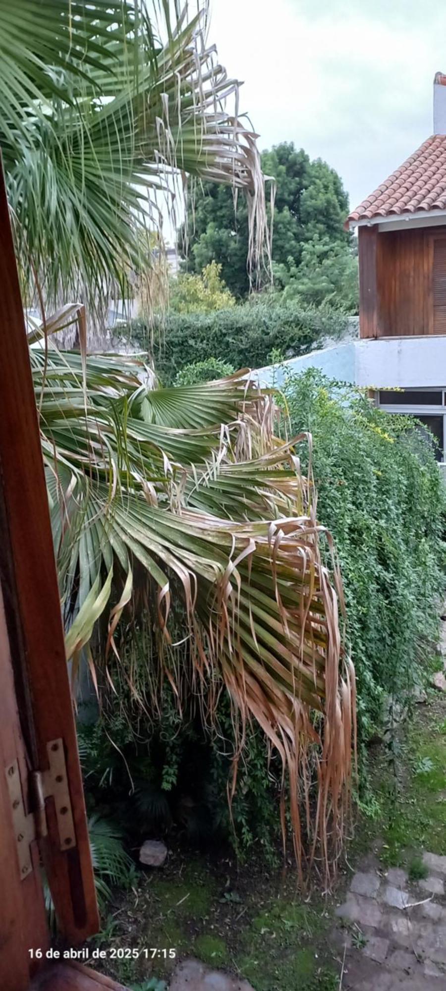 Ezeiza Bed And Breakfast Екстериор снимка